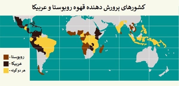 عربیکا و روبوستا در کدام کشورها پرورش داده می‌شوند - من و بازار