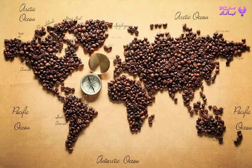 انواع قهوه عربیکا Coffea Arabica - من و بازار
