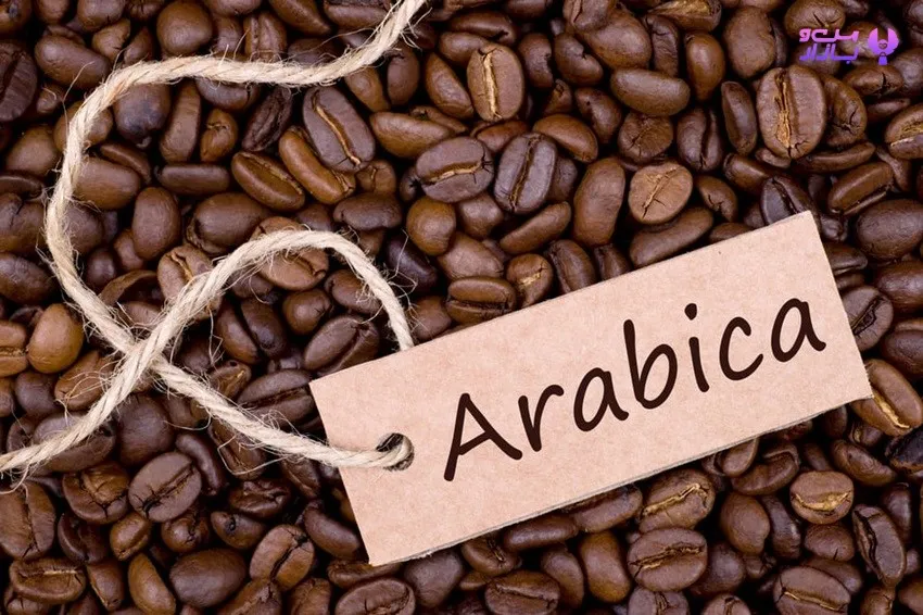 بهترین قهوه عربیکا چه ویژگی هایی دارد؟ - من و بازار