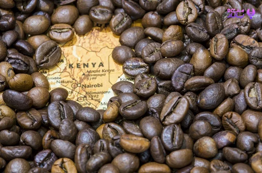 قهوه عربیکا کنیا Kenya - من و بازار
