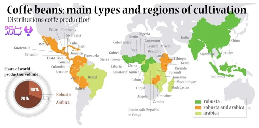 کشورهای تولید کننده قهوه روبوستا - من و بازار